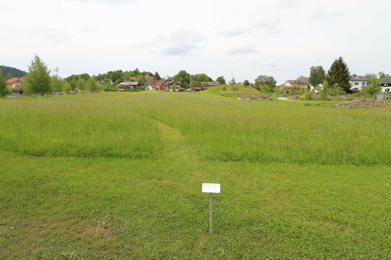 Fewo Mit Malerischem Bergblick Im Bischofsmais Exterior foto